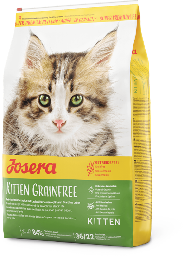 Josera Kitten grainfree Trockenfutter für Katzen 4,25 kg + 4x Paula Snack gratis