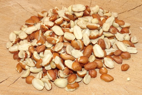 Futterbauer 2x10kg Erdnusskerne Erdnüsse teilblanchiert Vogelfutter Ganzjahresvogelfutter
