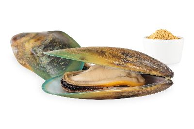 greenlippedmussel_220401-78853.png