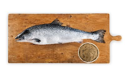salmon_protein_220401-79063.png
